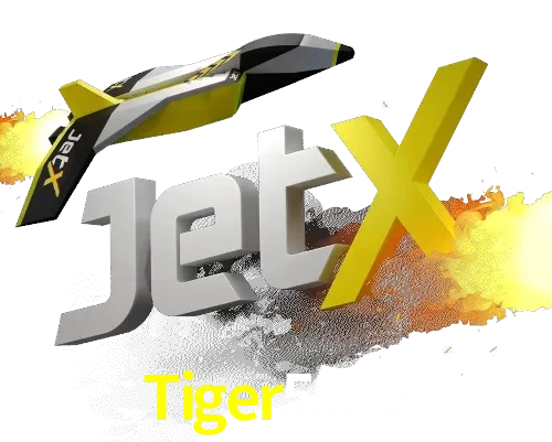 Tiger5555