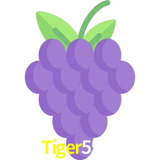 Tiger5555